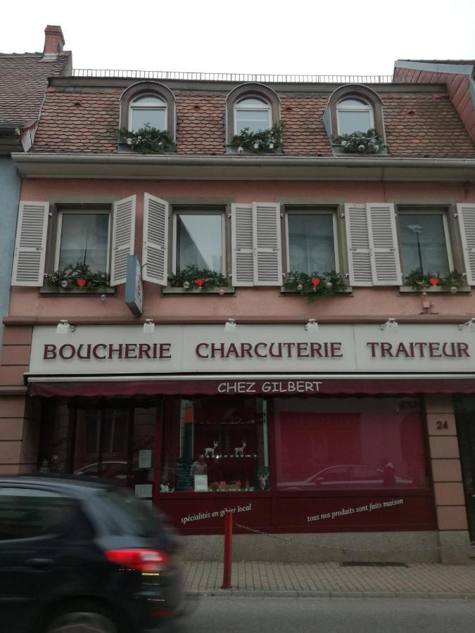 Spacieux Appartement Dans Le Centre De Munster Munster  Esterno foto